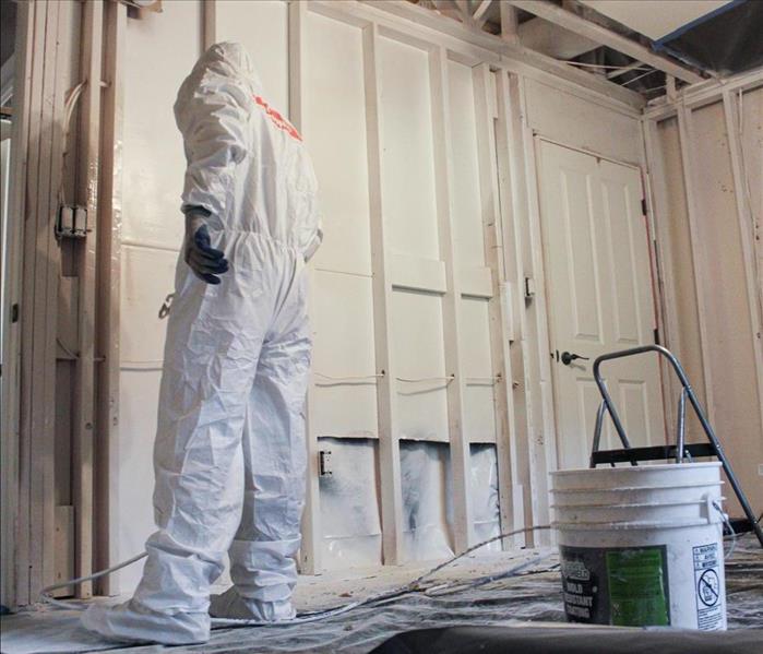 Technician spraying sealing chemical on growth-affected areas.